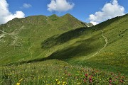 27 Pascoli fioriti con vista verso il Passo di Tartano e Cima di Lemma